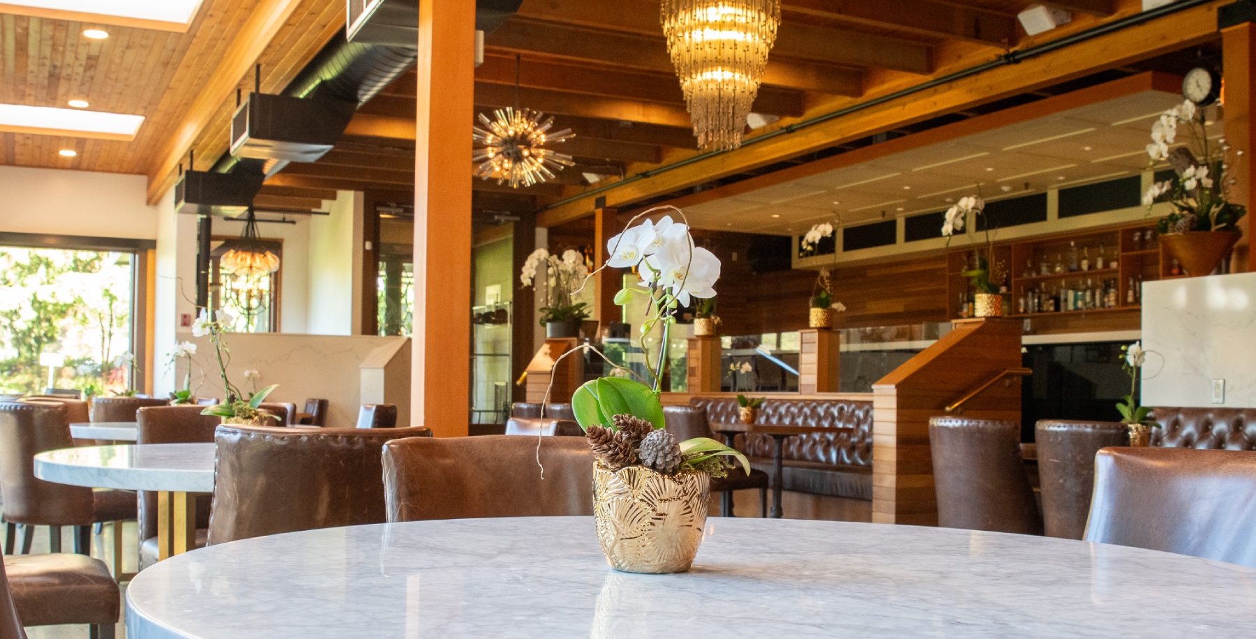Orchid on a table at Burnaby Mountain Clubhouse