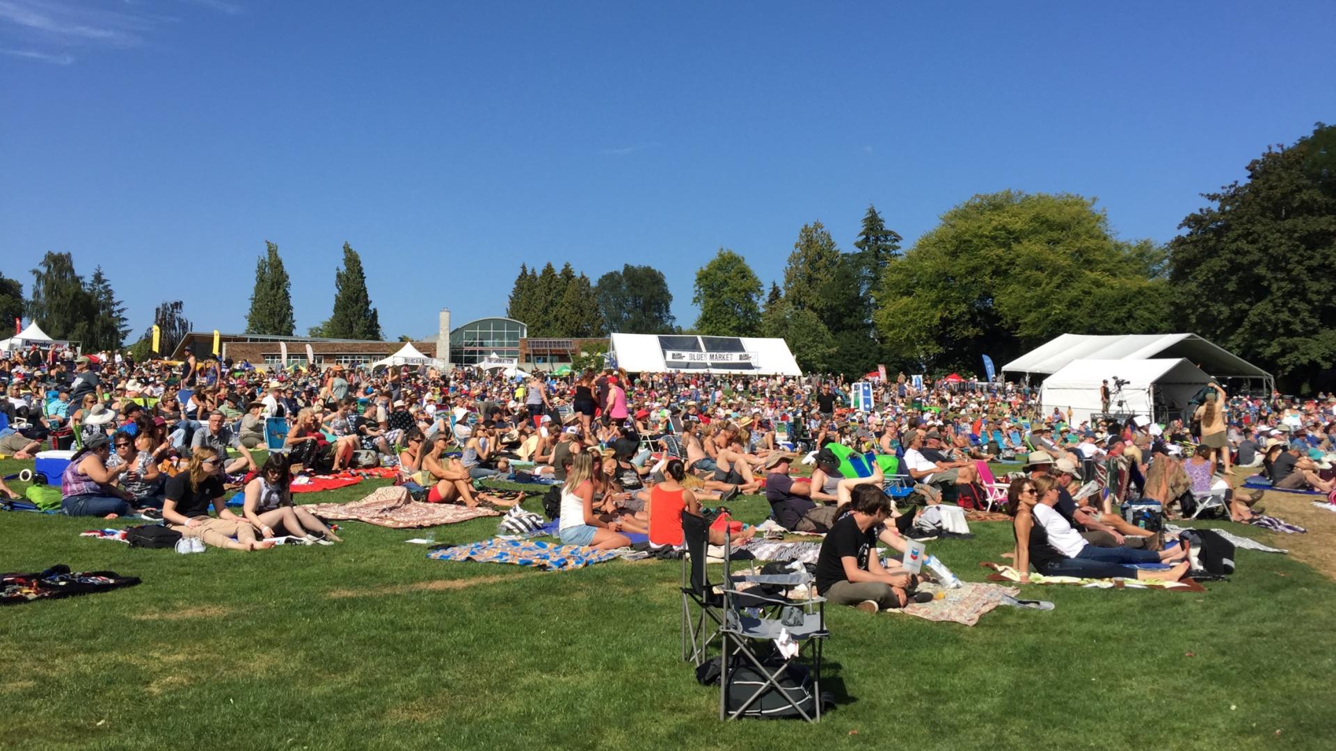 Concert at the Deer Lake Park