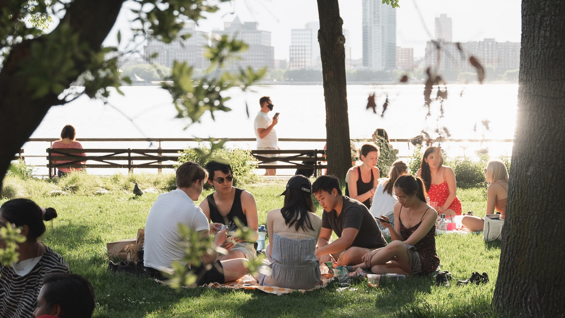 takeout picnic in the park