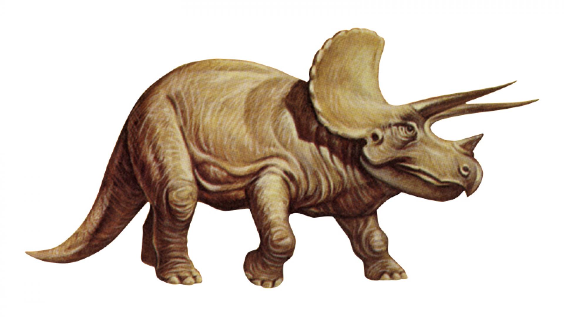 dinosaur