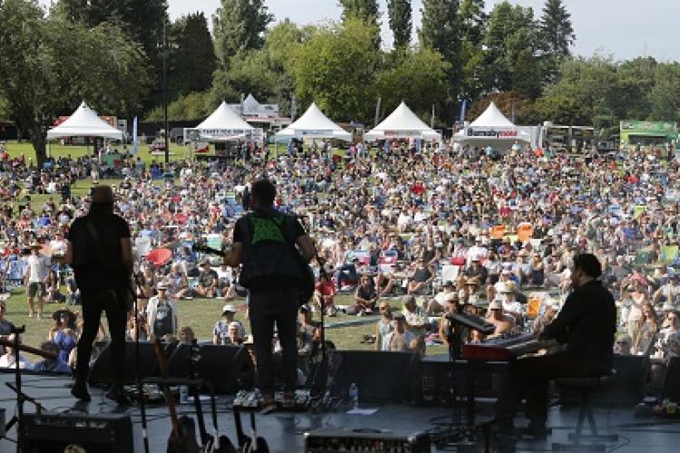 Concert at Deer Lake Park