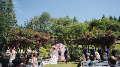 Rose_garden