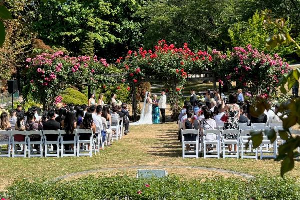 Plan Your Dream Wedding